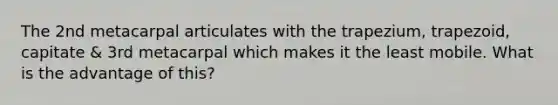 The 2nd metacarpal articulates with the trapezium, trapezoid, capitate & 3rd metacarpal which makes it the least mobile. What is the advantage of this?