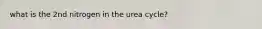 what is the 2nd nitrogen in the urea cycle?