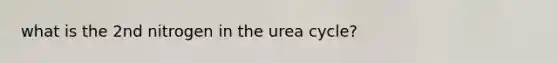 what is the 2nd nitrogen in the urea cycle?