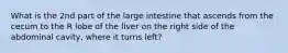 What is the 2nd part of the large intestine that ascends from the cecum to the R lobe of the liver on the right side of the abdominal cavity, where it turns left?