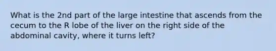 What is the 2nd part of the large intestine that ascends from the cecum to the R lobe of the liver on the right side of the abdominal cavity, where it turns left?