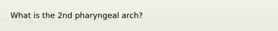 What is the 2nd pharyngeal arch?