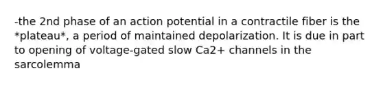 -the 2nd phase of an action potential in a contractile fiber is the *plateau*, a period of maintained depolarization. It is due in part to opening of voltage-gated slow Ca2+ channels in the sarcolemma