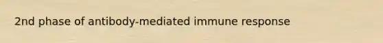 2nd phase of antibody-mediated immune response
