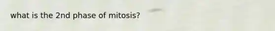 what is the 2nd phase of mitosis?