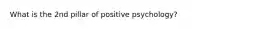 What is the 2nd pillar of positive psychology?