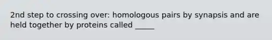 2nd step to crossing over: homologous pairs by synapsis and are held together by proteins called _____