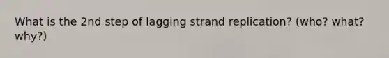 What is the 2nd step of lagging strand replication? (who? what? why?)