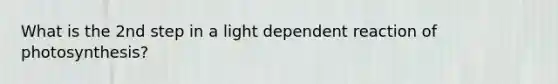 What is the 2nd step in a light dependent reaction of photosynthesis?