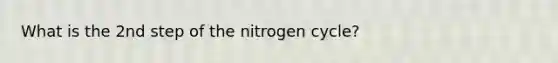 What is the 2nd step of the nitrogen cycle?