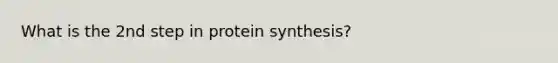 What is the 2nd step in protein synthesis?