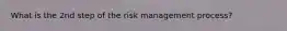 What is the 2nd step of the risk management process?