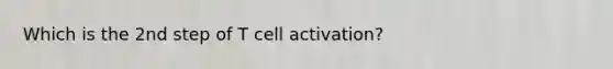 Which is the 2nd step of T cell activation?