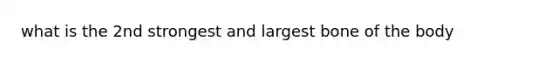 what is the 2nd strongest and largest bone of the body