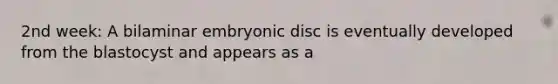 2nd week: A bilaminar embryonic disc is eventually developed from the blastocyst and appears as a