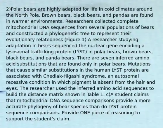 2)Polar bears are highly adapted for life in cold climates around the North Pole. Brown bears, black bears, and pandas are found in warmer environments. Researchers collected complete mitochondrial DNA sequences from several populations of bears and constructed a phylogenetic tree to represent their evolutionary relatedness (Figure 1) A researcher studying adaptation in bears sequenced the nuclear gene encoding a lysosomal trafficking protein (LYST) in polar bears, brown bears, black bears, and panda bears. There are seven inferred amino acid substitutions that are found only in polar bears. Mutations that cause similar substitutions in the human LYST protein are associated with Chediak-Higashi syndrome, an autosomal recessive condition in which pigment is absent from the hair and eyes. The researcher used the inferred amino acid sequences to build the distance matrix shown in Table 1. c)A student claims that mitochondrial DNA sequence comparisons provide a more accurate phylogeny of bear species than do LYST protein sequence comparisons. Provide ONE piece of reasoning to support the student's claim.