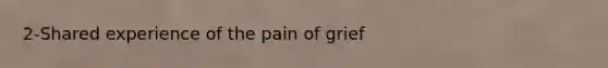 2-Shared experience of the pain of grief