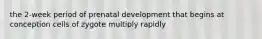 the 2-week period of prenatal development that begins at conception cells of zygote multiply rapidly