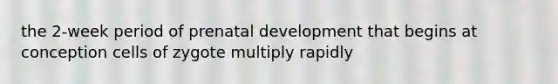 the 2-week period of prenatal development that begins at conception cells of zygote multiply rapidly