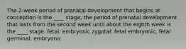 The 2-week period of prenatal development that begins at conception is the ____ stage; the period of prenatal development that lasts from the second week until about the eighth week is the ____ stage. fetal; embryonic zygotal; fetal embryonic; fetal germinal; embryonic