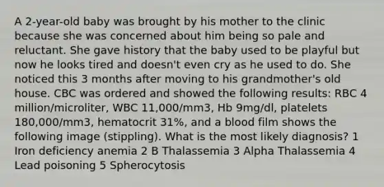 A 2-year-old baby was brought by his mother to the clinic because she was concerned about him being so pale and reluctant. She gave history that the baby used to be playful but now he looks tired and doesn't even cry as he used to do. She noticed this 3 months after moving to his grandmother's old house. CBC was ordered and showed the following results: RBC 4 million/microliter, WBC 11,000/mm3, Hb 9mg/dl, platelets 180,000/mm3, hematocrit 31%, and a blood film shows the following image (stippling). What is the most likely diagnosis? 1 Iron deficiency anemia 2 B Thalassemia 3 Alpha Thalassemia 4 Lead poisoning 5 Spherocytosis