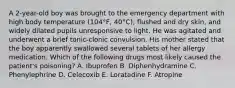 A 2-year-old boy was brought to the emergency department with high body temperature (104°F, 40°C), flushed and dry skin, and widely dilated pupils unresponsive to light. He was agitated and underwent a brief tonic-clonic convulsion. His mother stated that the boy apparently swallowed several tablets of her allergy medication. Which of the following drugs most likely caused the patient's poisoning? A. Ibuprofen B. Diphenhydramine C. Phenylephrine D. Celecoxib E. Loratadine F. Atropine