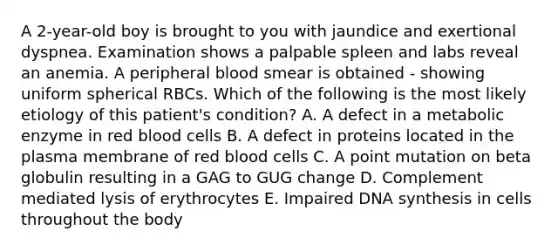 A 2-year-old boy is brought to you with jaundice and exertional dyspnea. Examination shows a palpable spleen and labs reveal an anemia. A peripheral blood smear is obtained - showing uniform spherical RBCs. Which of the following is the most likely etiology of this patient's condition? A. A defect in a metabolic enzyme in red blood cells B. A defect in proteins located in the plasma membrane of red blood cells C. A point mutation on beta globulin resulting in a GAG to GUG change D. Complement mediated lysis of erythrocytes E. Impaired DNA synthesis in cells throughout the body