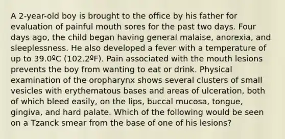 A 2-year-old boy is brought to the office by his father for evaluation of painful mouth sores for the past two days. Four days ago, the child began having general malaise, anorexia, and sleeplessness. He also developed a fever with a temperature of up to 39.0ºC (102.2ºF). Pain associated with the mouth lesions prevents the boy from wanting to eat or drink. Physical examination of the oropharynx shows several clusters of small vesicles with erythematous bases and areas of ulceration, both of which bleed easily, on the lips, buccal mucosa, tongue, gingiva, and hard palate. Which of the following would be seen on a Tzanck smear from the base of one of his lesions?