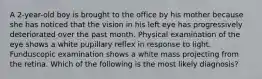 A 2-year-old boy is brought to the office by his mother because she has noticed that the vision in his left eye has progressively deteriorated over the past month. Physical examination of the eye shows a white pupillary reflex in response to light. Funduscopic examination shows a white mass projecting from the retina. Which of the following is the most likely diagnosis?