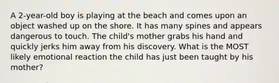 A 2-year-old boy is playing at the beach and comes upon an object washed up on the shore. It has many spines and appears dangerous to touch. The child's mother grabs his hand and quickly jerks him away from his discovery. What is the MOST likely emotional reaction the child has just been taught by his mother?