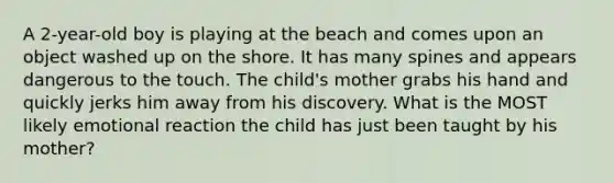 A 2-year-old boy is playing at the beach and comes upon an object washed up on the shore. It has many spines and appears dangerous to the touch. The child's mother grabs his hand and quickly jerks him away from his discovery. What is the MOST likely emotional reaction the child has just been taught by his mother?