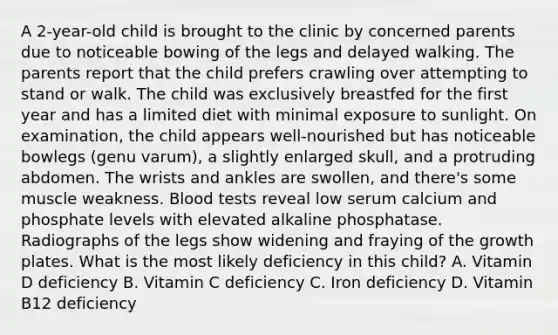 A 2-year-old child is brought to the clinic by concerned parents due to noticeable bowing of the legs and delayed walking. The parents report that the child prefers crawling over attempting to stand or walk. The child was exclusively breastfed for the first year and has a limited diet with minimal exposure to sunlight. On examination, the child appears well-nourished but has noticeable bowlegs (genu varum), a slightly enlarged skull, and a protruding abdomen. The wrists and ankles are swollen, and there's some muscle weakness. Blood tests reveal low serum calcium and phosphate levels with elevated alkaline phosphatase. Radiographs of the legs show widening and fraying of the growth plates. What is the most likely deficiency in this child? A. Vitamin D deficiency B. Vitamin C deficiency C. Iron deficiency D. Vitamin B12 deficiency