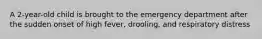 A 2-year-old child is brought to the emergency department after the sudden onset of high fever, drooling, and respiratory distress