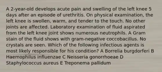 A 2-year-old develops acute pain and swelling of the left knee 5 days after an episode of urethritis. On physical examination, the left knee is swollen, warm, and tender to the touch. No other joints are affected. Laboratory examination of fluid aspirated from the left knee joint shows numerous neutrophils. A Gram stain of the fluid shows with gram-negative coccobacillus. No crystals are seen. Which of the following infectious agents is most likely responsible for his condition? A Borrelia burgdorferi B Haemophilus influenzae C Neisseria gonorrhoeae D Staphylococcus aureus E Treponema pallidum