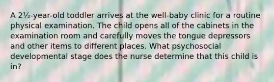 A 2½-year-old toddler arrives at the well-baby clinic for a routine physical examination. The child opens all of the cabinets in the examination room and carefully moves the tongue depressors and other items to different places. What psychosocial developmental stage does the nurse determine that this child is in?