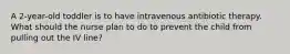 A 2-year-old toddler is to have intravenous antibiotic therapy. What should the nurse plan to do to prevent the child from pulling out the IV line?