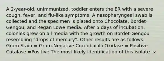 A 2-year-old, unimmunized, toddler enters the ER with a severe cough, fever, and flu-like symptoms. A nasopharyngeal swab is collected and the specimen is plated onto Chocolate, Bordet-Gengou, and Regan Lowe media. After 5 days of incubation, colonies grew on all media with the growth on Bordet-Gengou resembling "drops of mercury". Other results are as follows: Gram Stain = Gram-Negative Coccobacilli Oxidase = Positive Catalase =Positive The most likely identification of this isolate is: