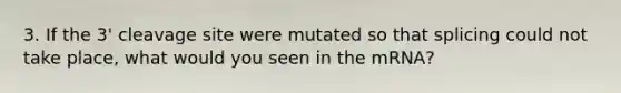 3. If the 3' cleavage site were mutated so that splicing could not take place, what would you seen in the mRNA?