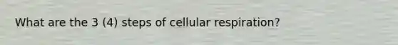 What are the 3 (4) steps of cellular respiration?