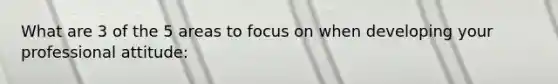 What are 3 of the 5 areas to focus on when developing your professional attitude: