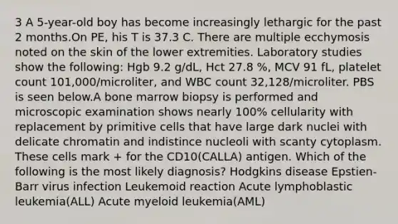 3 A 5-year-old boy has become increasingly lethargic for the past 2 months.On PE, his T is 37.3 C. There are multiple ecchymosis noted on the skin of the lower extremities. Laboratory studies show the following: Hgb 9.2 g/dL, Hct 27.8 %, MCV 91 fL, platelet count 101,000/microliter, and WBC count 32,128/microliter. PBS is seen below.A bone marrow biopsy is performed and microscopic examination shows nearly 100% cellularity with replacement by primitive cells that have large dark nuclei with delicate chromatin and indistince nucleoli with scanty cytoplasm. These cells mark + for the CD10(CALLA) antigen. Which of the following is the most likely diagnosis? Hodgkins disease Epstien-Barr virus infection Leukemoid reaction Acute lymphoblastic leukemia(ALL) Acute myeloid leukemia(AML)