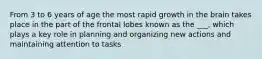 From 3 to 6 years of age the most rapid growth in the brain takes place in the part of the frontal lobes known as the ___, which plays a key role in planning and organizing new actions and maintaining attention to tasks