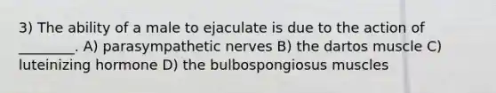 3) The ability of a male to ejaculate is due to the action of ________. A) parasympathetic nerves B) the dartos muscle C) luteinizing hormone D) the bulbospongiosus muscles