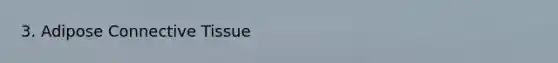 3. Adipose Connective Tissue