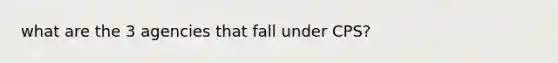 what are the 3 agencies that fall under CPS?