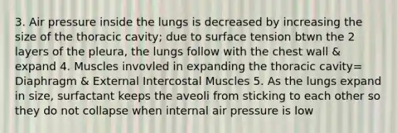 3. Air pressure inside the lungs is decreased by increasing the size of the thoracic cavity; due to surface tension btwn the 2 layers of the pleura, the lungs follow with the chest wall & expand 4. Muscles invovled in expanding the thoracic cavity= Diaphragm & External Intercostal Muscles 5. As the lungs expand in size, surfactant keeps the aveoli from sticking to each other so they do not collapse when internal air pressure is low