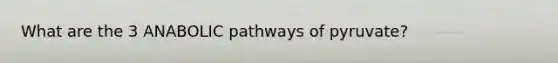 What are the 3 ANABOLIC pathways of pyruvate?