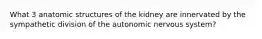 What 3 anatomic structures of the kidney are innervated by the sympathetic division of the autonomic nervous system?