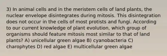 3) In animal cells and in the meristem cells of land plants, the nuclear envelope disintegrates during mitosis. This disintegration does not occur in the cells of most protists and fungi. According to our current knowledge of plant evolution, which group of organisms should feature mitosis most similar to that of land plants? A) unicellular green algae B) cyanobacteria C) charophytes D) red algae E) multicellular green algae