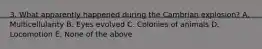 3. What apparently happened during the Cambrian explosion? A. Multicellularity B. Eyes evolved C. Colonies of animals D. Locomotion E. None of the above